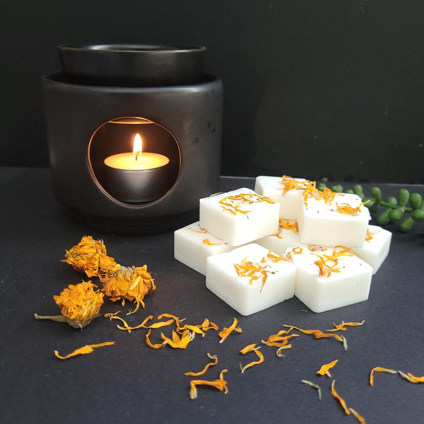 Wild Daisy - Handmade Soy Botanical Wax Melts | Vegan Friendly & Cruelty Free