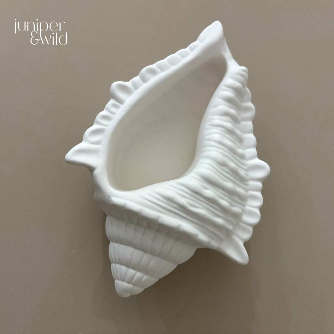 Medium Conch Shell - Jesmonite Stoneware