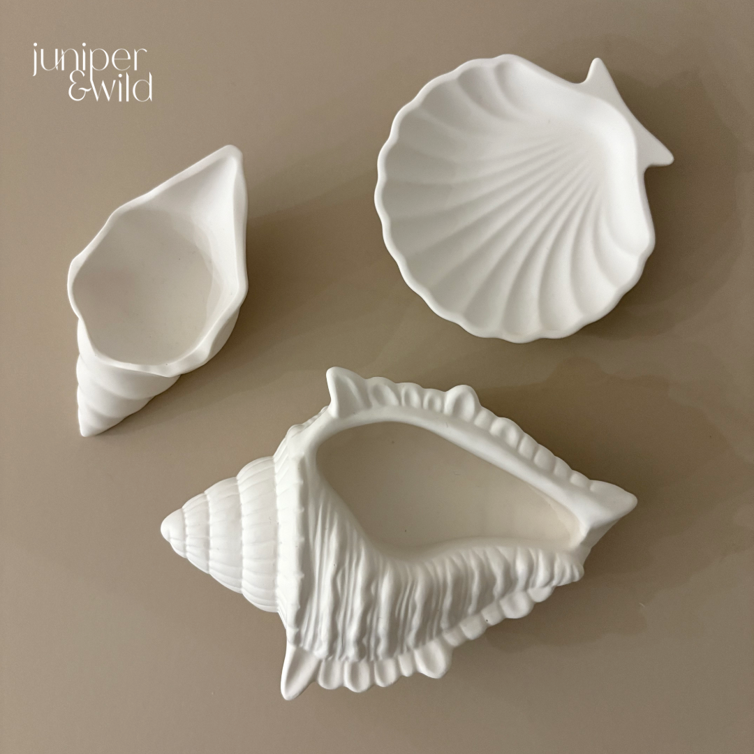Small Conch Shell - Jesmonite Stoneware