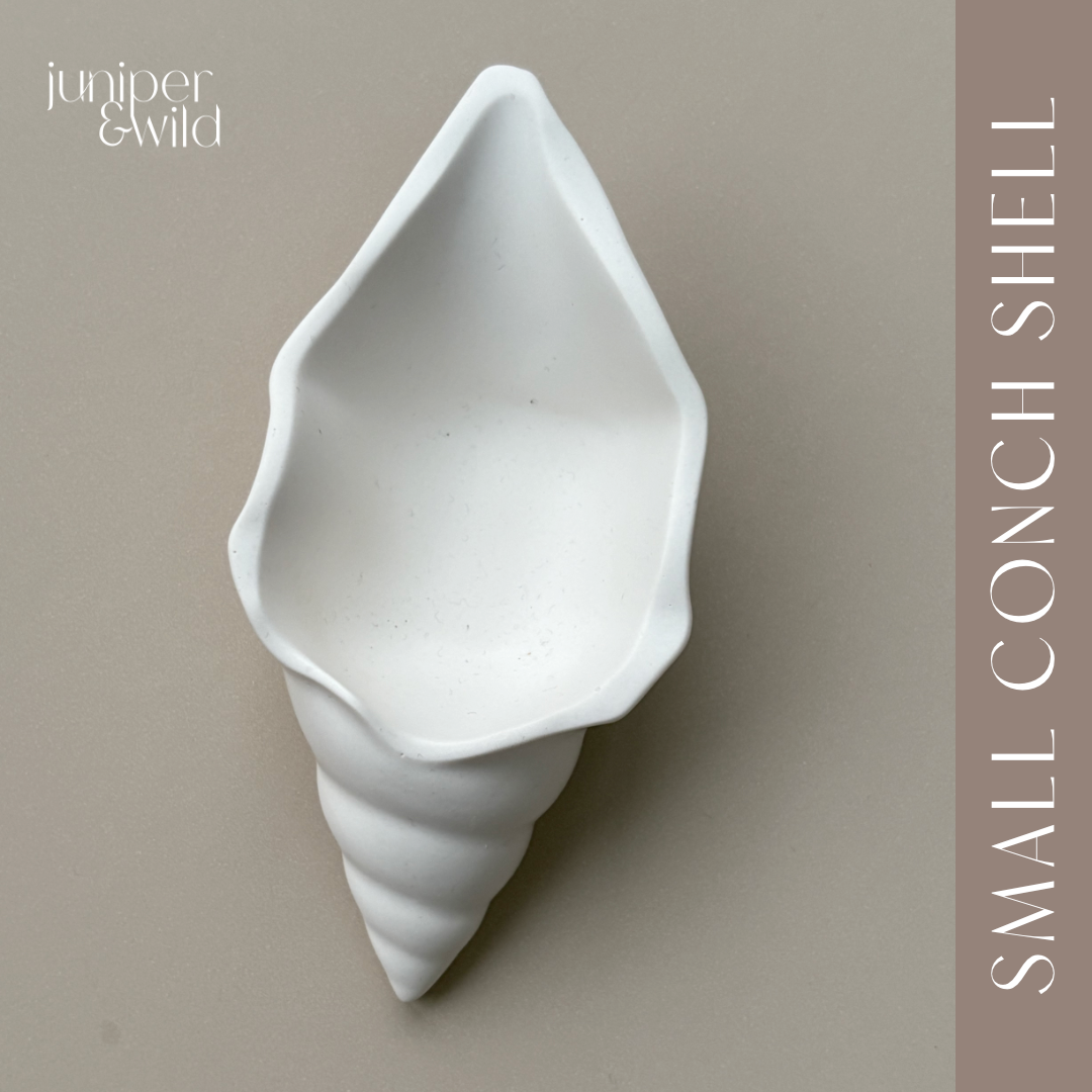 Small Conch Shell - Jesmonite Stoneware