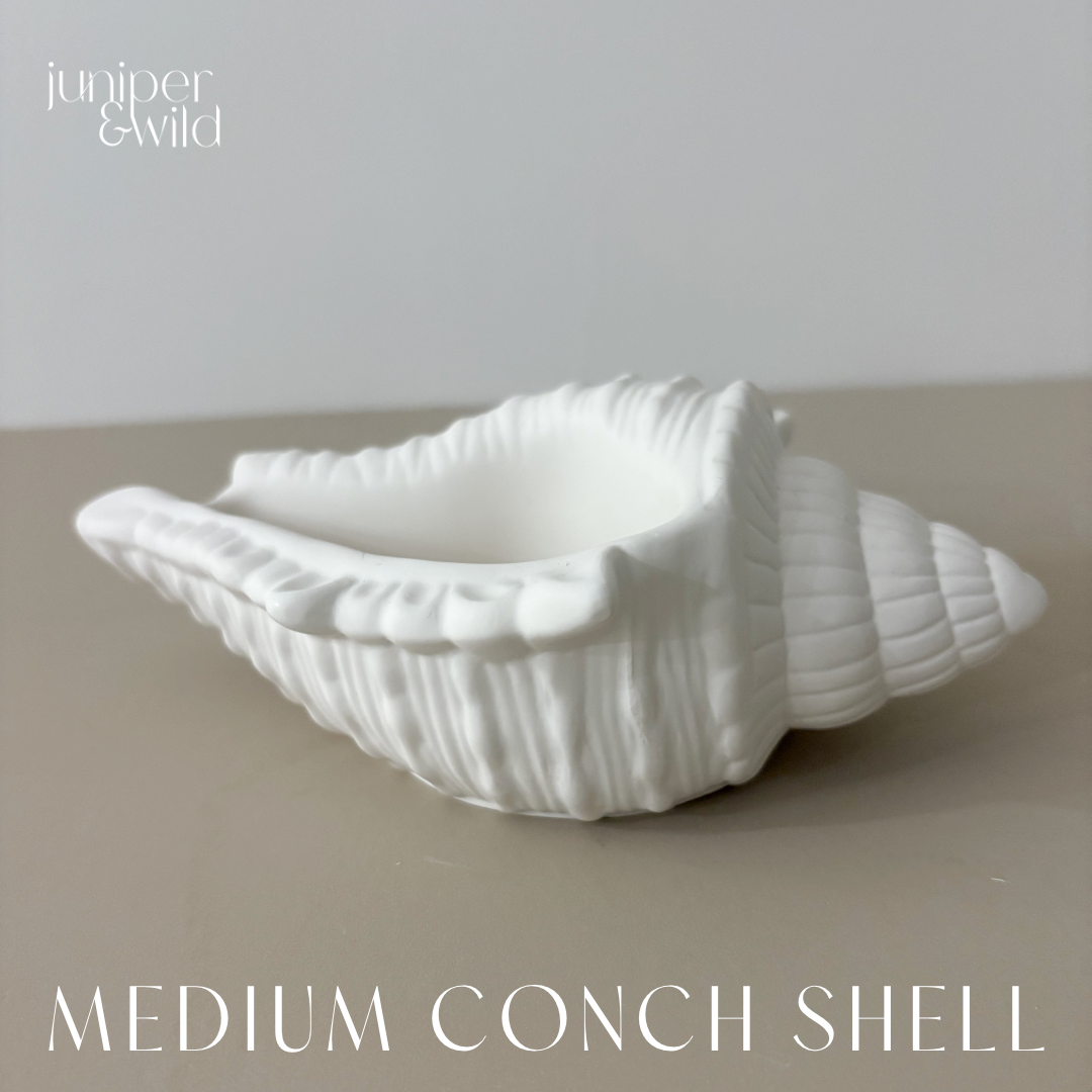 Medium Conch Shell - Jesmonite Stoneware