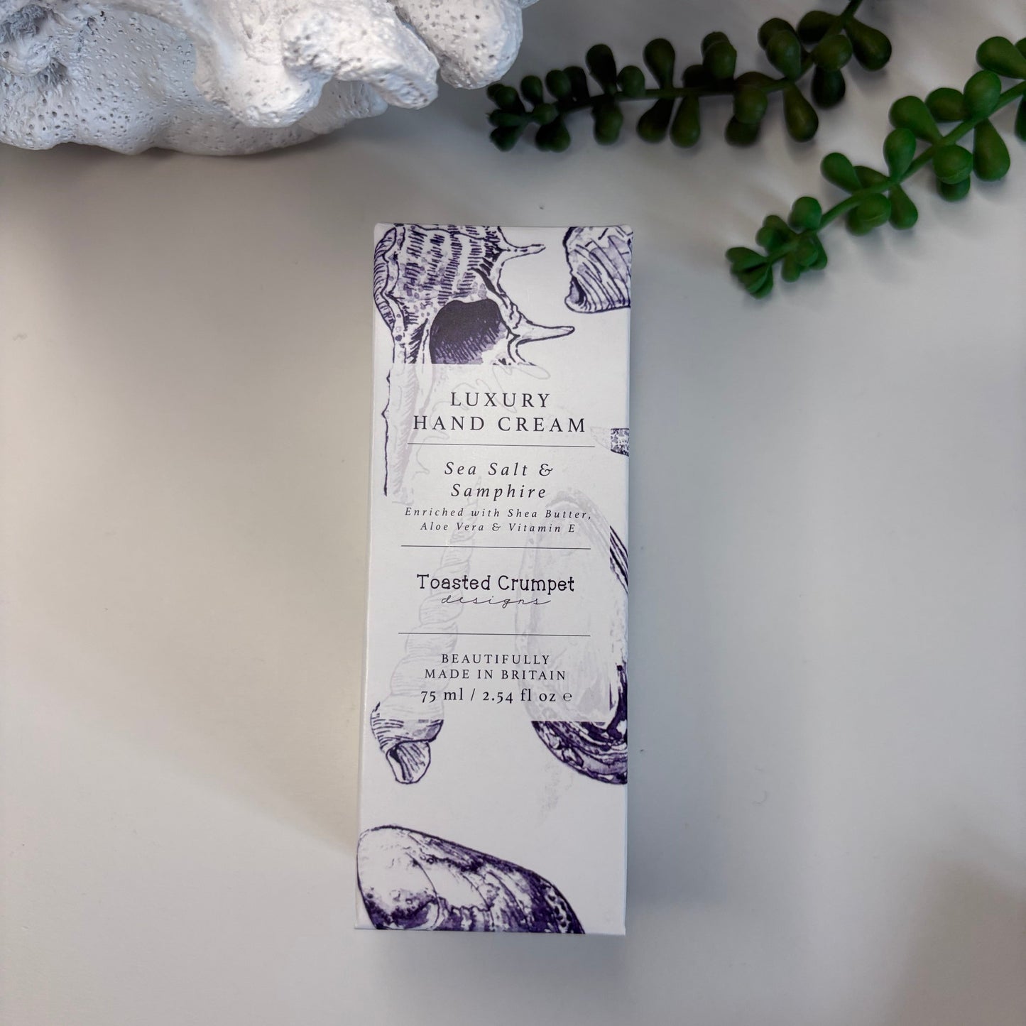 Large Conch Shell Gift Box
