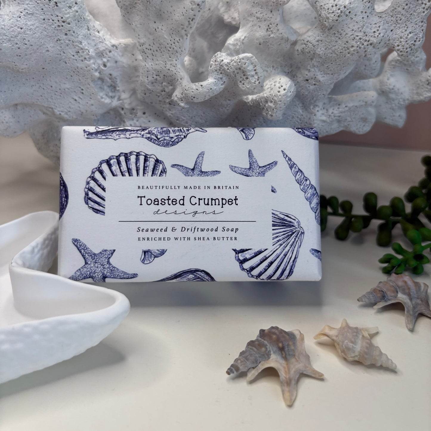 Large Conch Shell Gift Box