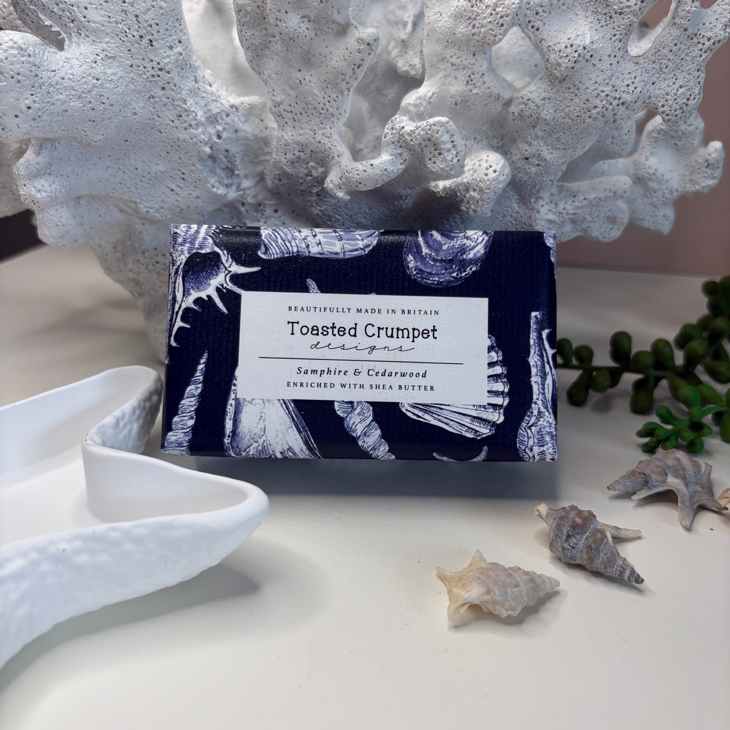 Large Conch Shell Gift Box
