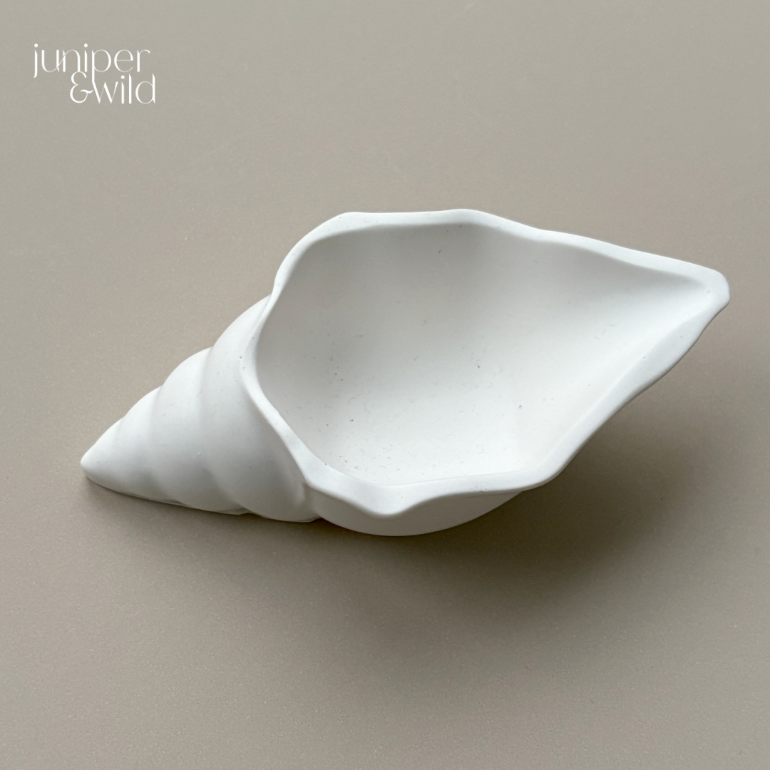 Small Conch Shell - Jesmonite Stoneware