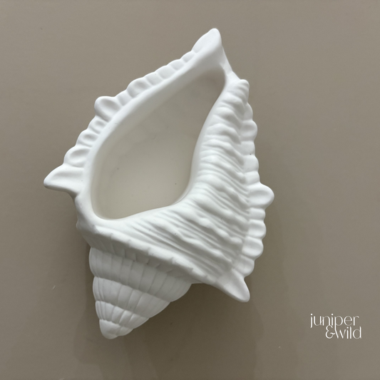 White ceramic shell on a beige background